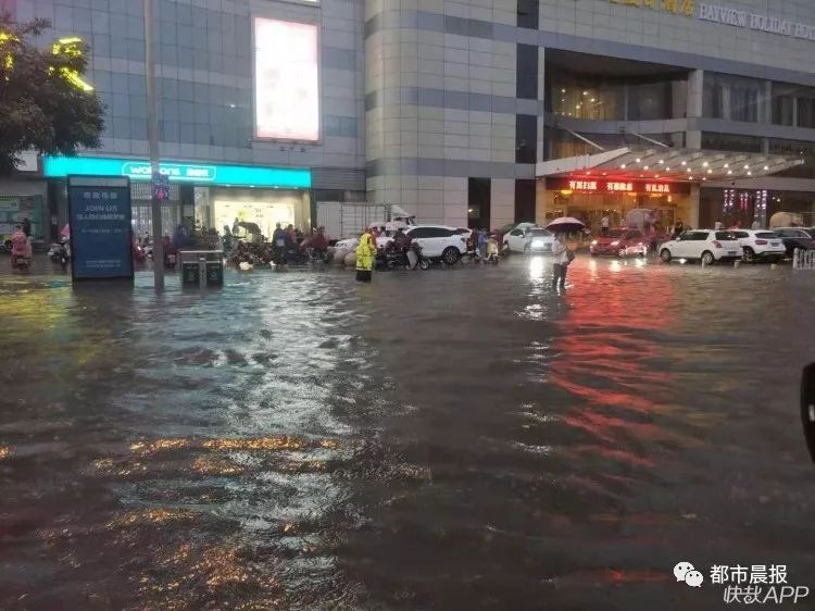 泰山脚下的堵车长龙——一次意外的旅行体验