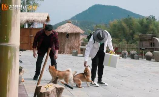 人生开门红，每分钟的笑点盛宴