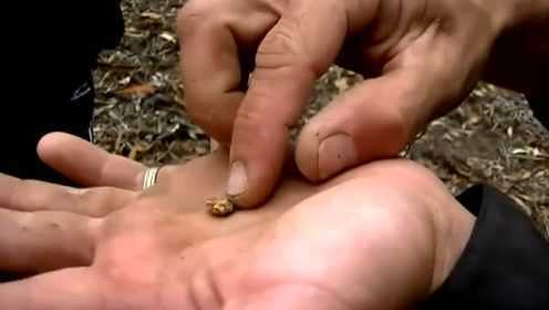沙滩上的奇遇，女子20分钟捡钉子的奇妙经历
