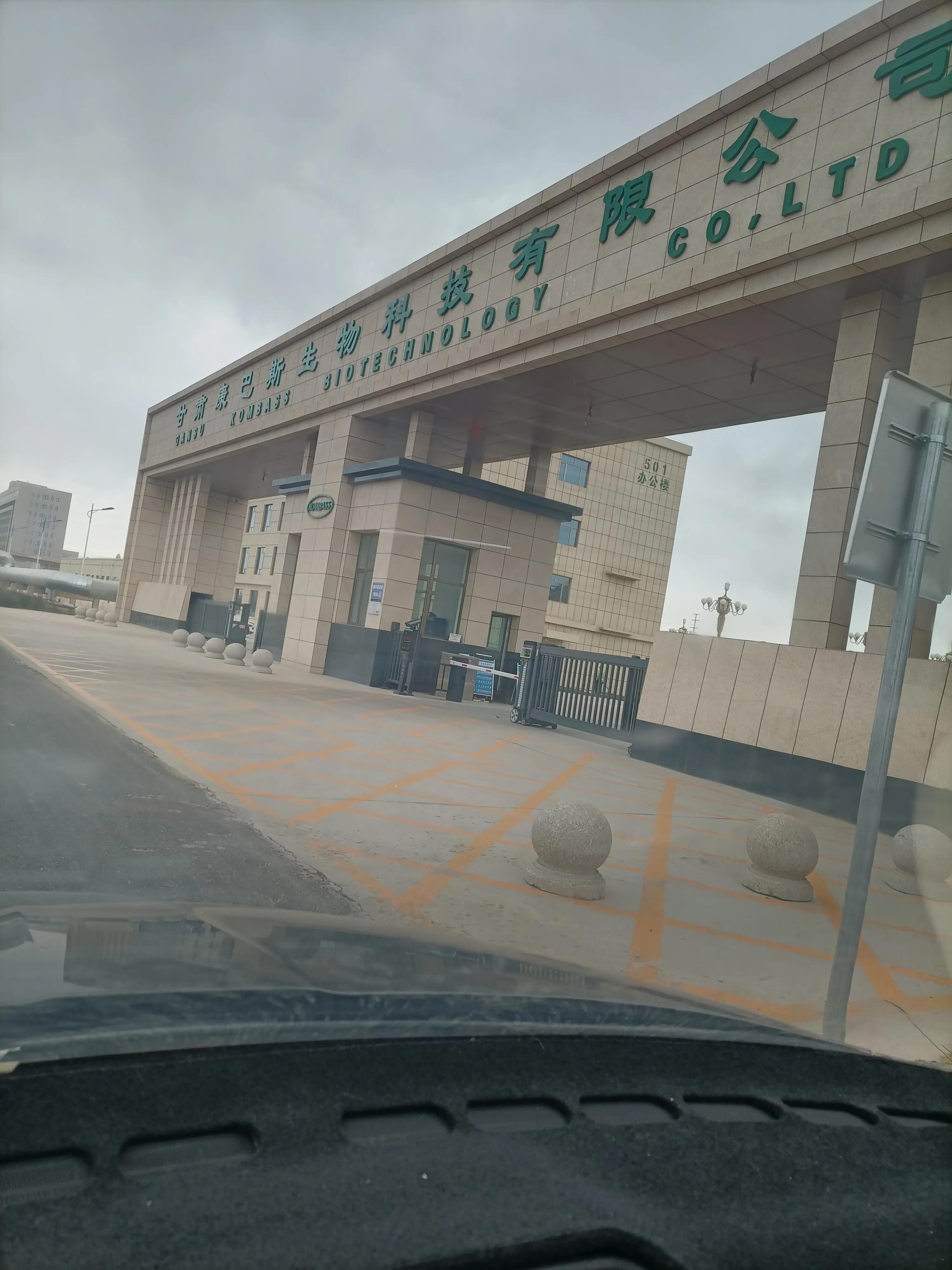 高中还有双休吗？探究现行教育制度的周末安排