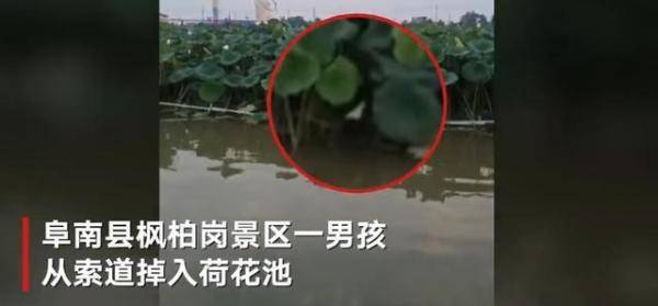 景区辟谣，男子蹦极未系安全绳事件真相揭秘