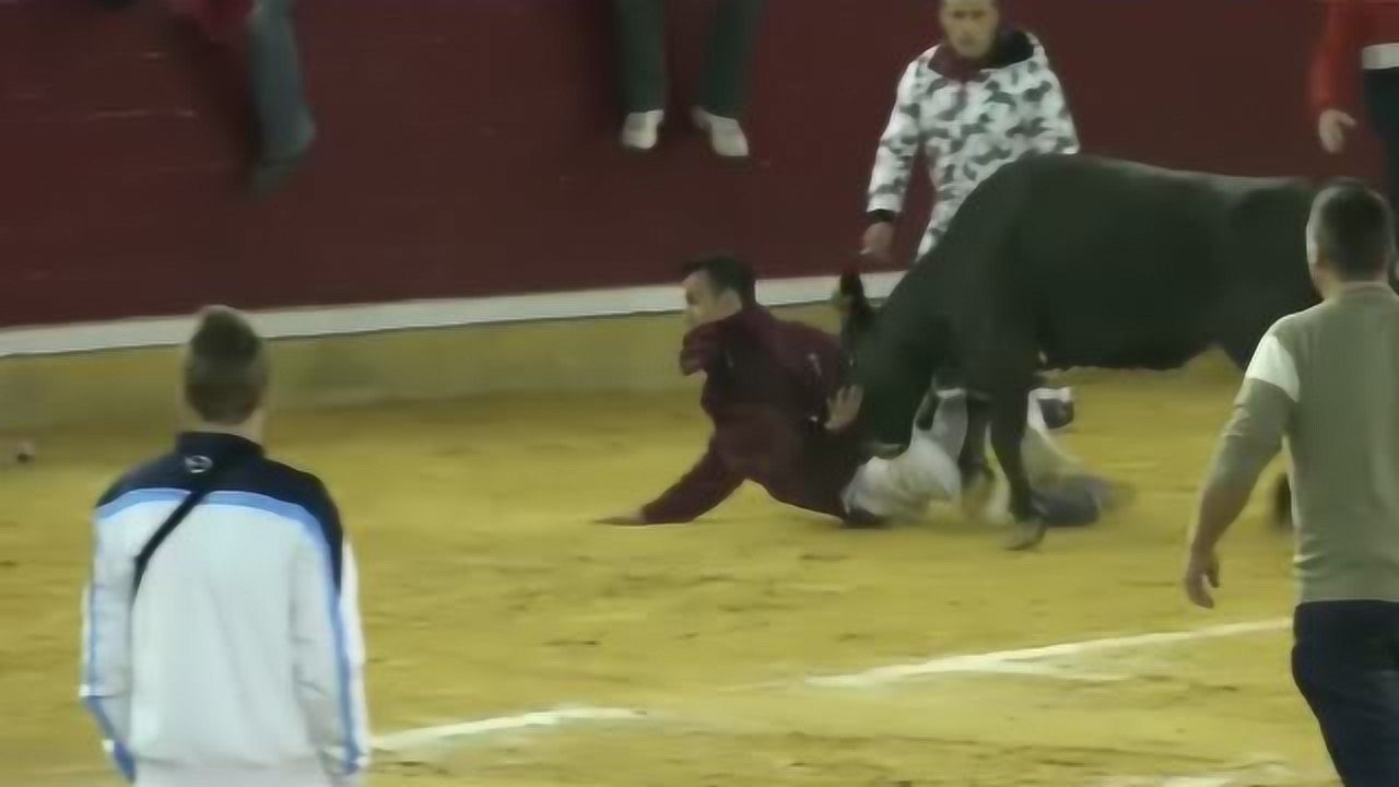 关于斗牛比赛现场冲突致人死亡的不实传闻探究