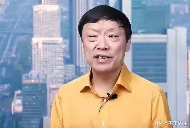 胡锡进到底是干什么的