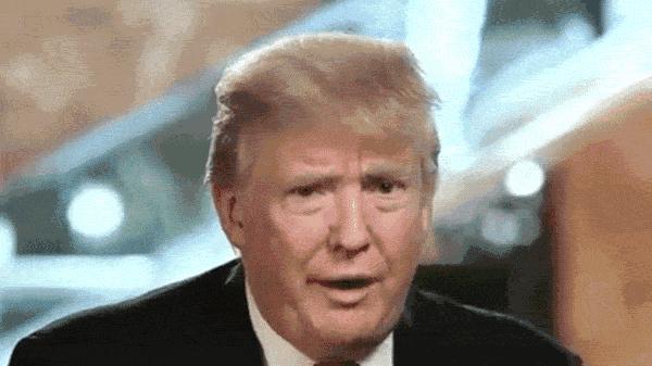 中国船运到美国的全方位解读