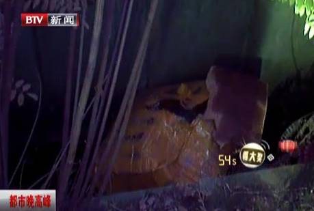 女子捂死三岁幼子新闻背后的故事与思考