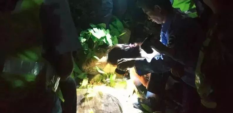 聚焦福建女孩失踪事件，探寻真相，呼唤正义
