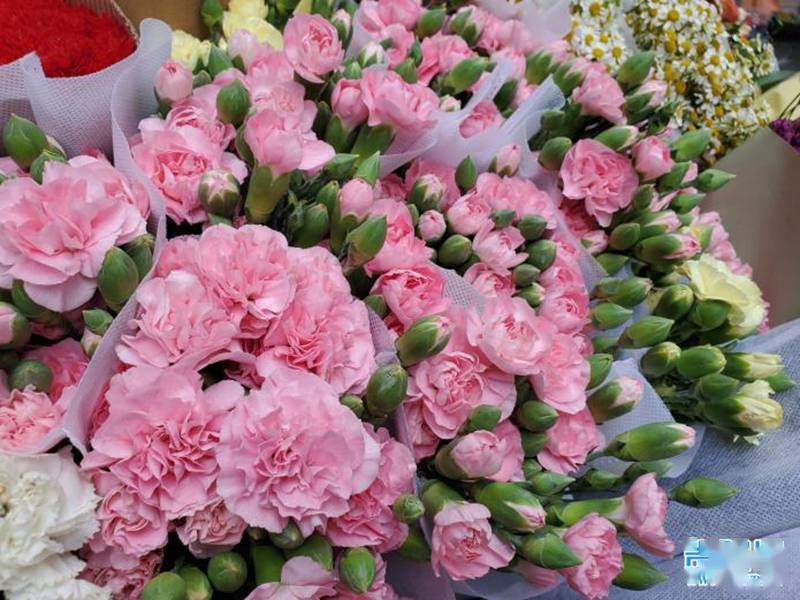 母亲节鲜花市场火爆，情感经济绽放光彩