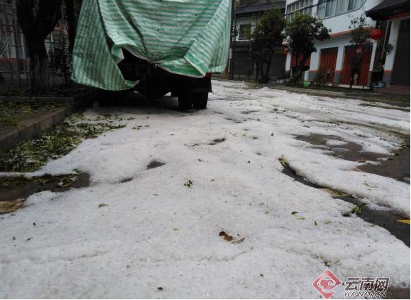 河南安阳冰雹致小麦颗粒无收？假的！
