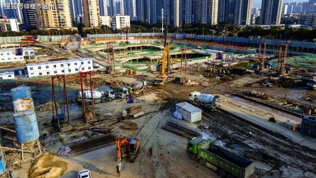 地下代孕点单日转运超10名女性进入，深度剖析与反思