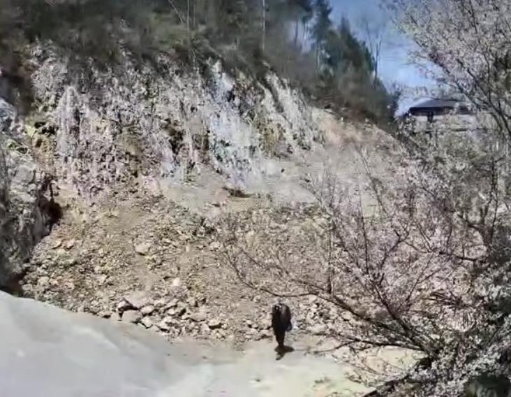 男子蹊跷失踪两个月，探寻真相之旅