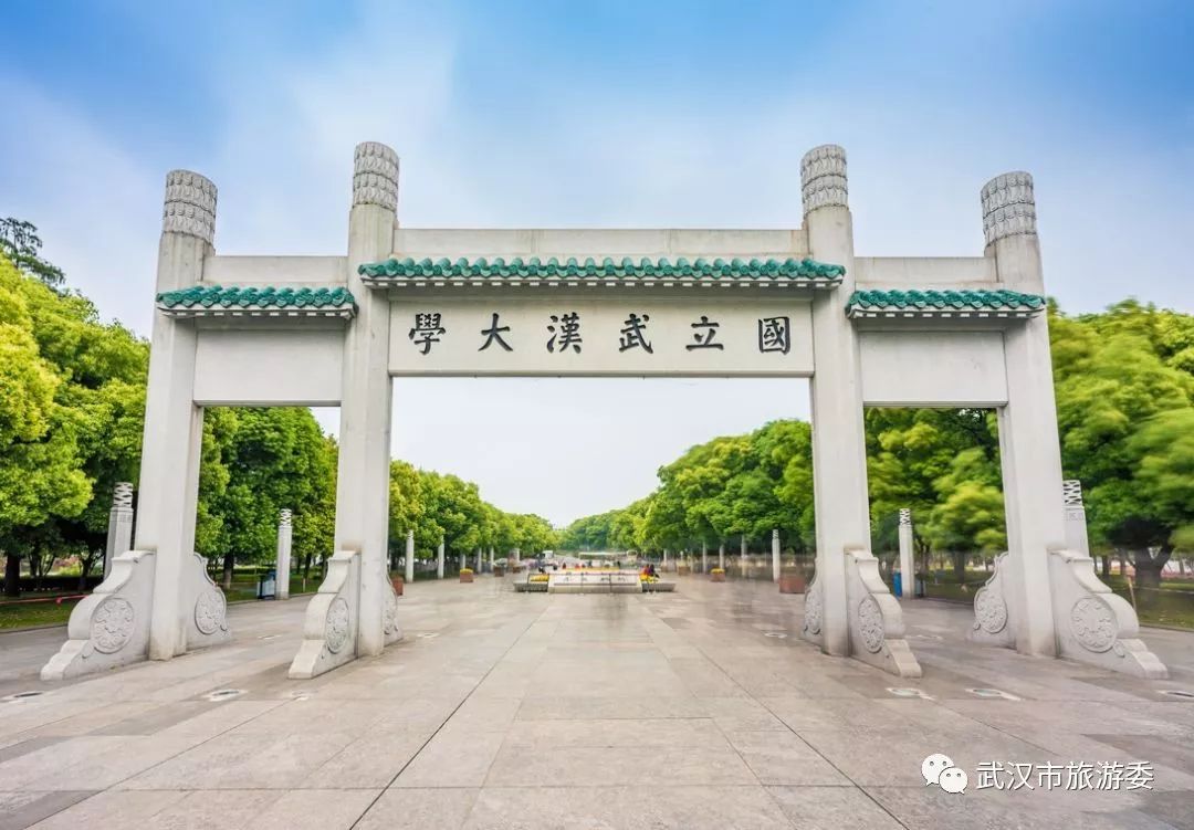 武大回应校门被淹一米深，每年都这样