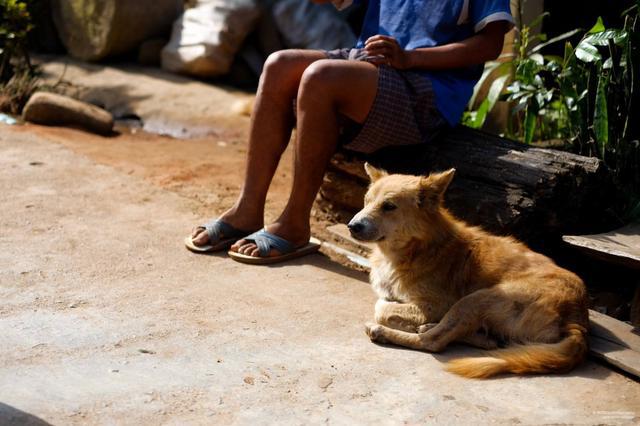 宝妈带孩子出门遭遇凶犬攻击，应对与反思