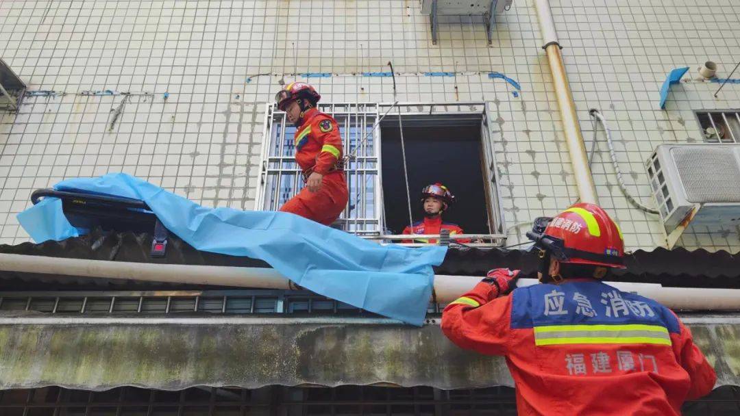 福建一女生坠楼事件深度解析