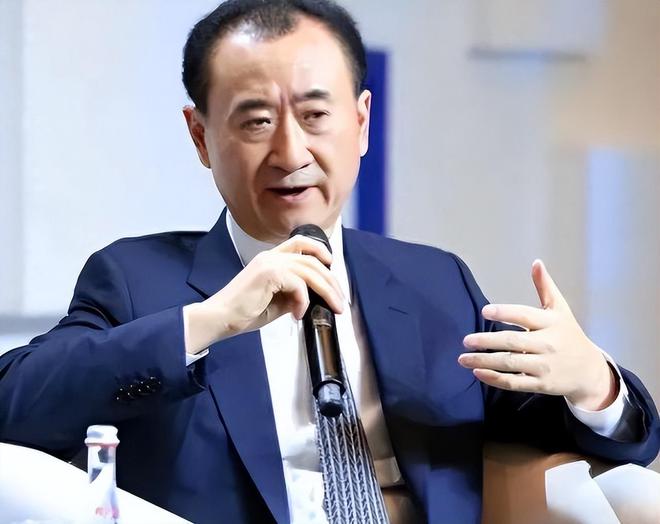王健林露面，商界巨头的风采与智慧
