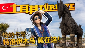 特洛伊木马之战起因