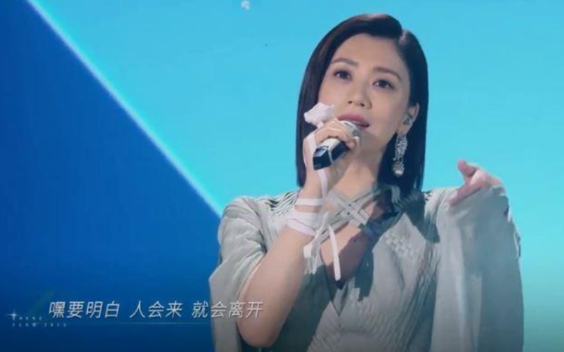 贾静雯现状，演艺事业与家庭生活的多彩画卷