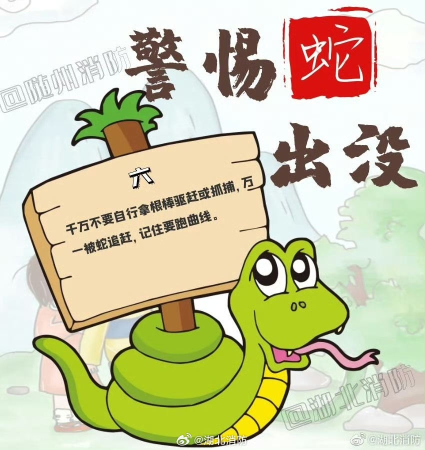 男童遭遇蛇袭击，爸爸的菜篮子成救命英雄！