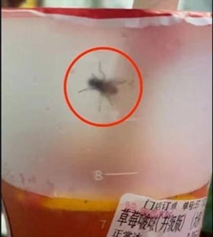 蜜雪冰城冰鲜柠檬水成本解析