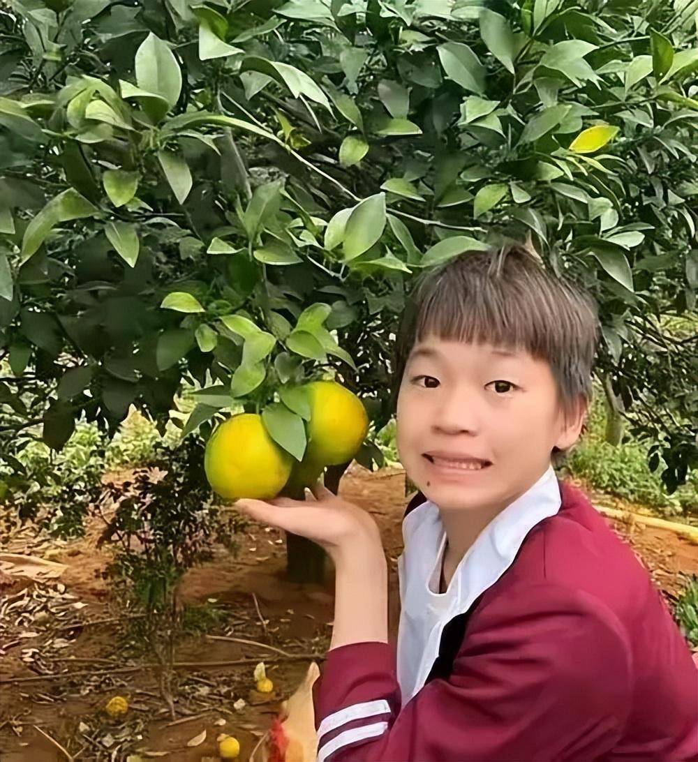 全红婵回家摘荔枝，英雄归来，荔枝映红家乡情